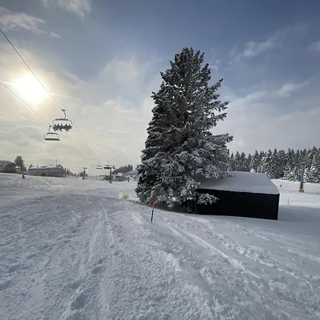 Holiday home Panorama Krvavec Ski-in, Ski-out