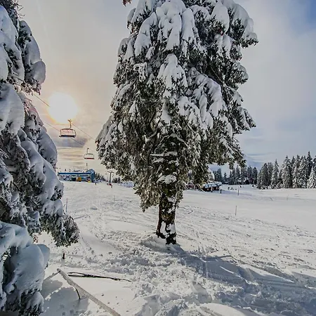 Panorama Krvavec Ski-in, Ski-out Cerklje na Gorenjskem