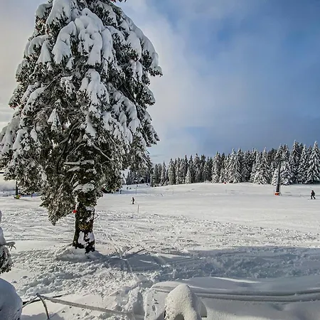 Panorama Krvavec Ski-in, Ski-out * Cerklje na Gorenjskem