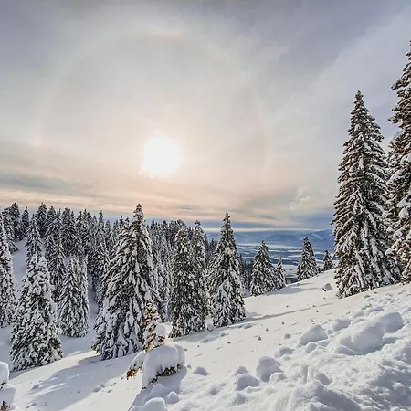 Panorama Krvavec Ski-in, Ski-out Hébergement de vacances