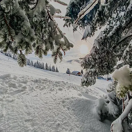 Panorama Krvavec Ski-in, Ski-out Hébergement de vacances *