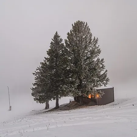 Holiday home Panorama Krvavec Ski-in, Ski-out *