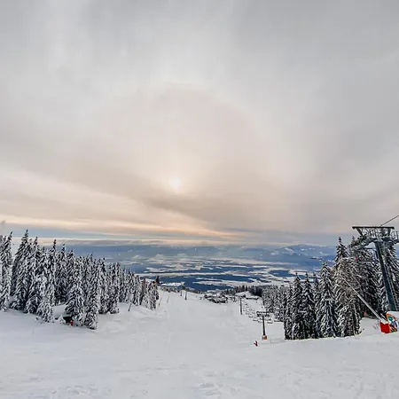 Panorama Krvavec Ski-in, Ski-out Holiday home *