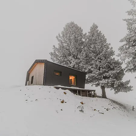 Panorama Krvavec Ski-in, Ski-out Casa vacanze *