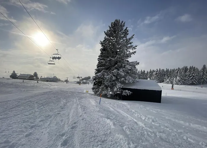 別荘 Panorama Krvavec Ski-in, Ski-out