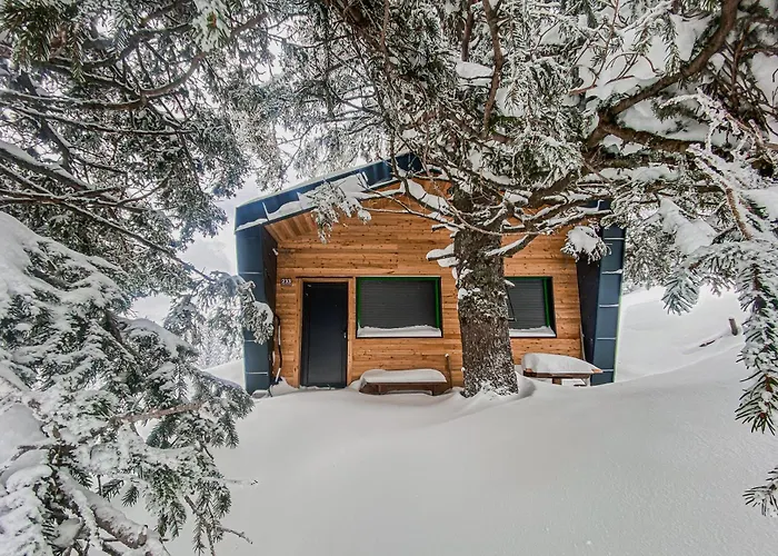 Panorama Krvavec Ski-in, Ski-out Vakantiehuis *