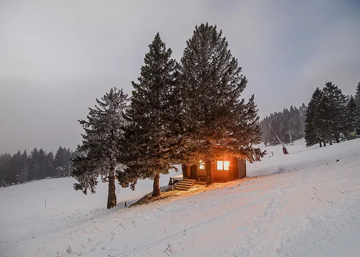 別荘 Panorama Krvavec Ski-in, Ski-out ツェルクニェ・ナ・ゴレニスケム