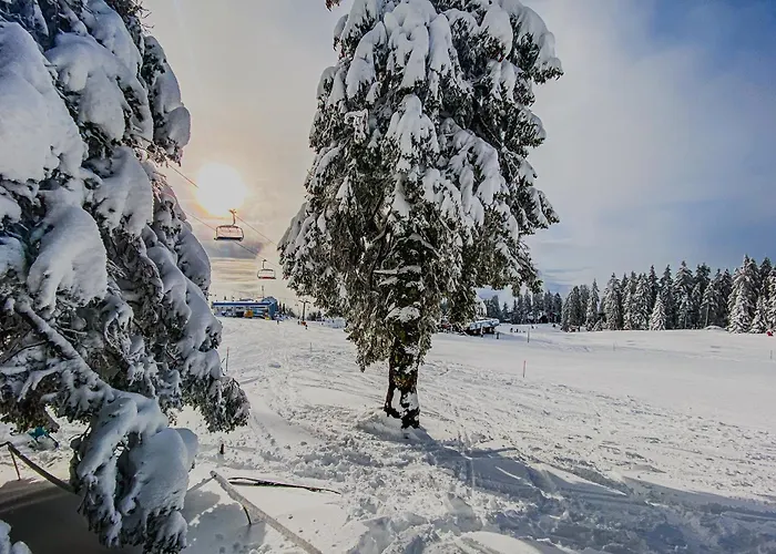 Panorama Krvavec Ski-in, Ski-out Cerklje na Gorenjskem