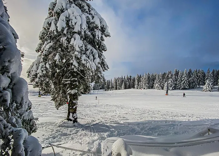Panorama Krvavec Ski-in, Ski-out * Cerklje na Gorenjskem