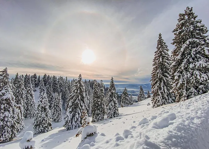 Panorama Krvavec Ski-in, Ski-out Vakantiehuis