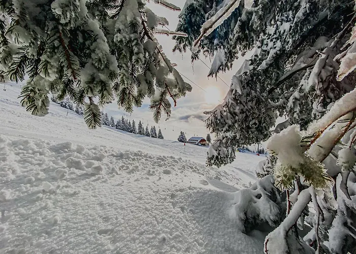 Panorama Krvavec Ski-in, Ski-out Tatil Evi *