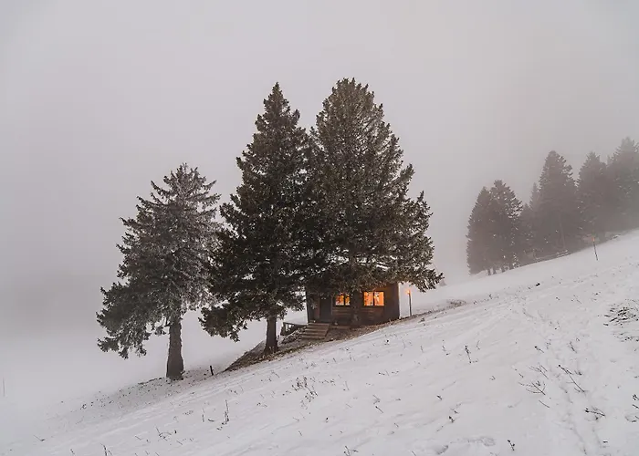 Panorama Krvavec Ski-in, Ski-out * Cerklje na Gorenjskem