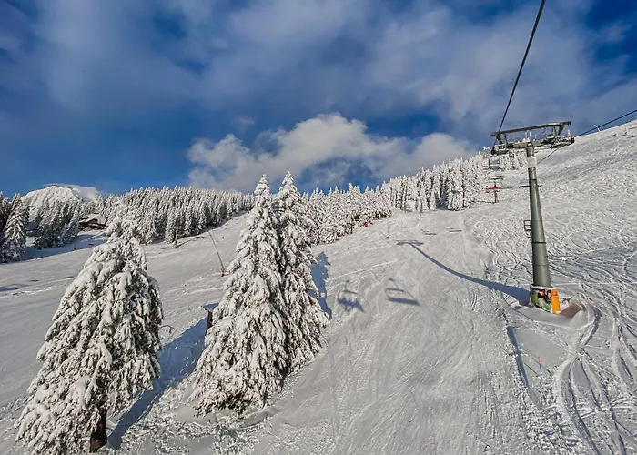 Panorama Krvavec Ski-in, Ski-out * Cerklje na Gorenjskem